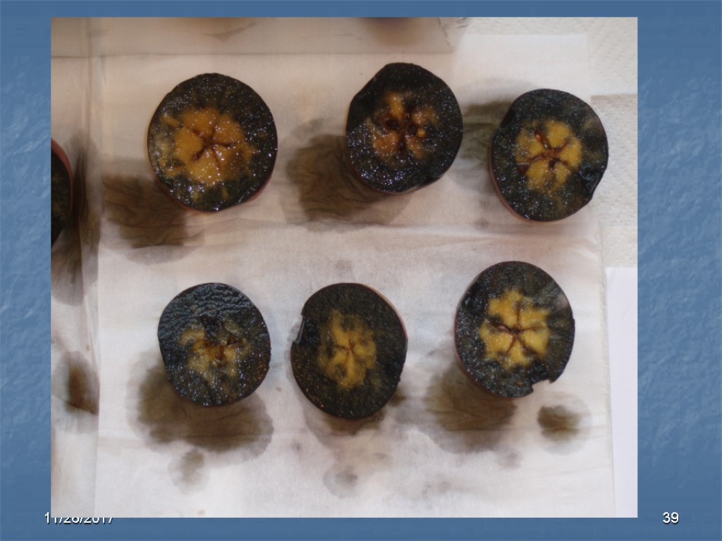 11/26/2017 39 11/26/2017 39